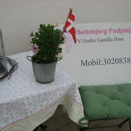 Sellebjerg Apartment Bindslev 외부 사진